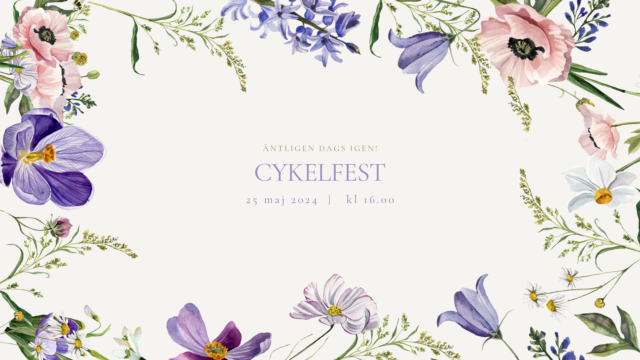 Cykelfest