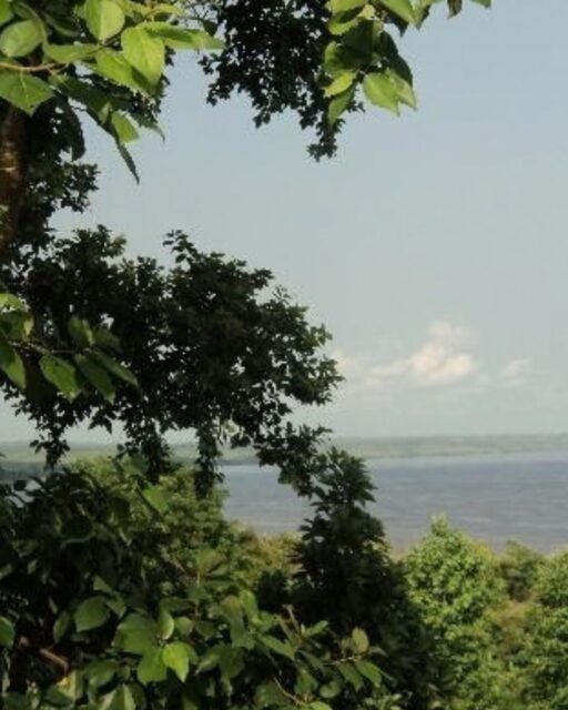 Kongoresa